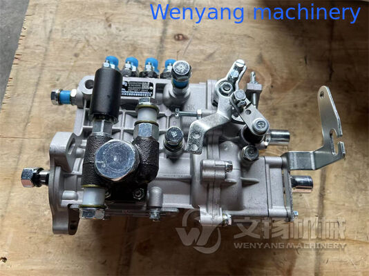 Bomba de inyección de combustible para motor Xinchai A490BPG-21000 proveedor