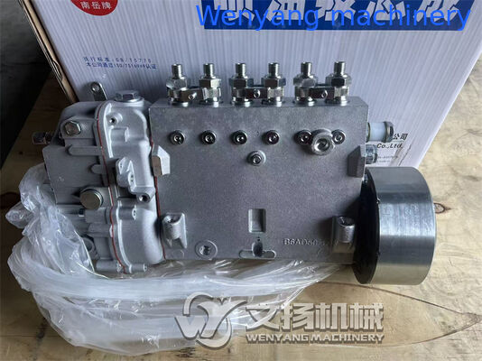 Motores Pampas de inyección de combustible J99L1-1111100-493 Yuchai piezas de repuesto para motores proveedor