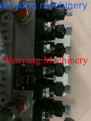 Supply China Cummins engine spare parts injection pump 49994681 proveedor
