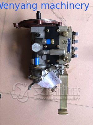 Piezas de repuesto originales del motor YTO BH4W10545Y-193 bomba de inyección proveedor